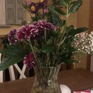 Meet your Posher, Debbie